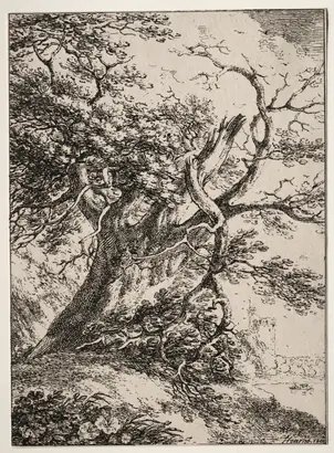 Dokumentasi museum Specimens of Polyautography:  Landscape with an Oak Tree. Thomas Hearne (British, 1744–1817).