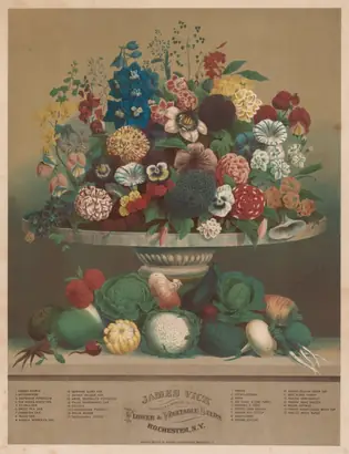 Dokumentasi museum Flowers and Vegetables. Anton Carl Rahn (American, born Germany, 1842–1907).