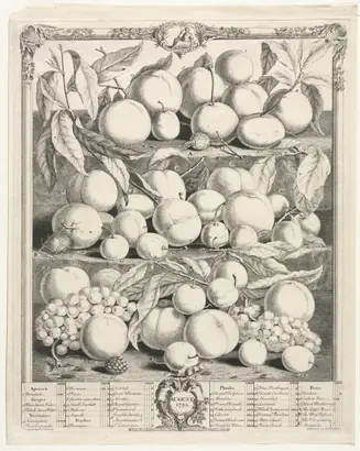 Dokumentasi museum Twelve Months of Fruit:  August. Henry Fletcher (British, active 1715–38).