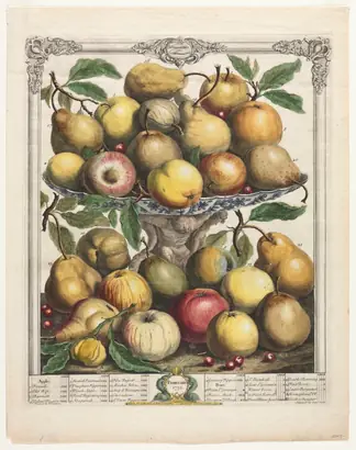 Dokumentasi museum Twelve Months of Fruit:  February. Henry Fletcher (British, active 1715–38).