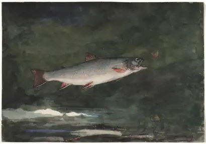Dokumentasi museum Leaping Trout. Winslow Homer (American, 1836–1910).