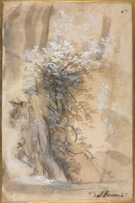 Dokumentasi museum Flowering Bush above an Eroded Bank. Federico Barocci (Italian, 1528–1612).