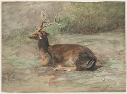 Dokumentasi museum Stag Lying Down. Rosa Bonheur (French, 1822–1899).
