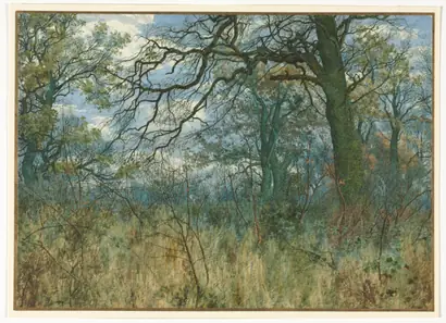 Dokumentasi museum Trees and Undergrowth. Garden William Fraser (British, 1856–1921).