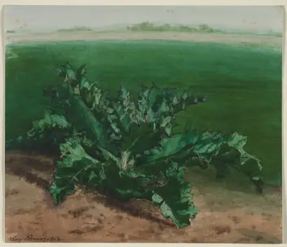 Dokumentasi museum Study of a Plant, Possibly Thistle. Léon Bonvin (French, 1834–1866).