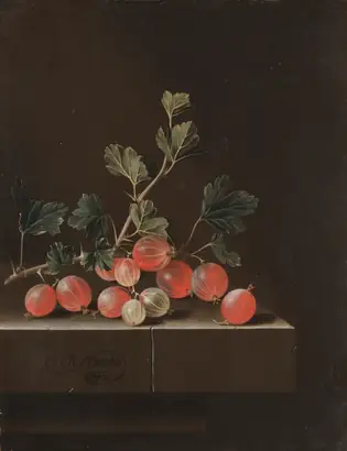 Dokumentasi museum Gooseberries on a Table. Adriaen Coorte (Dutch, 1660–1707).
