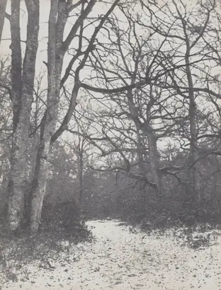 Dokumentasi museum Road in the Forest. Eugène Cuvelier (French, 1837–1900).