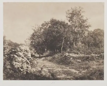 Dokumentasi museum Untitled (Scene of Fontainebleau). André Giroux (French, 1801–1879).
