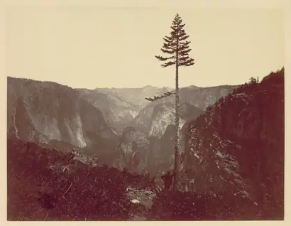 Dokumentasi museum Yosemite Valley from Mariposa Trail. Charles Leander Weed (American, 1824–1903).