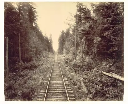 Dokumentasi museum Hemlock Forest, Lehigh Valley Railroad. William H. Rau (American, 1855–1920).