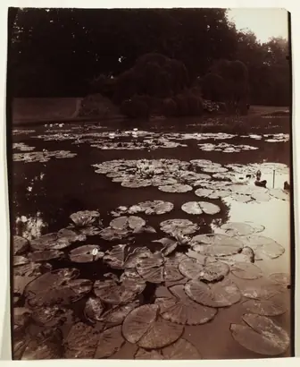 Dokumentasi museum Nymphéa. Eugène Atget (French, 1857–1927).