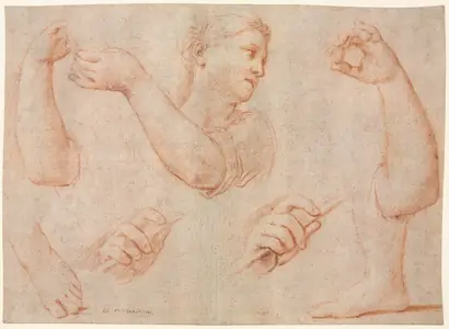 Dokumentasi museum Study of a Young Woman Playing a Tambourine, and Studies of an Arm, Hands, and Feet (Studies for "Miriam Leading the Chorus of Women Who Give Thanks for the Routing of Pharoah". Marcantonio Franceschini (Italian, 1648–1729).
