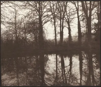 Dokumentasi museum Winter Trees Reflected in a Pond. William Henry Fox Talbot (British, 1800–1877).