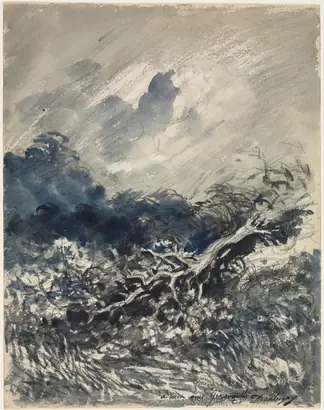 Dokumentasi museum The Oak Tree and the Reed. Charles François Daubigny (French, 1817–1878).