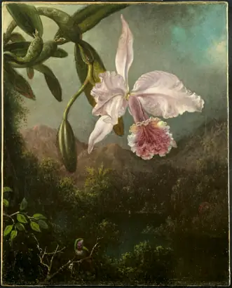 Dokumentasi museum Orchid Blossoms. Martin Johnson Heade (American, 1819–1904).