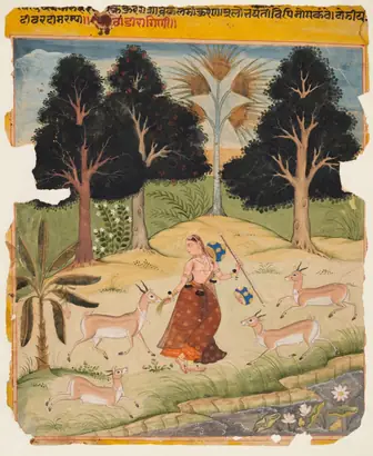 Dokumentasi museum Woman Feeding Deer: Todi Ragini, from a Ragamala. Nama pembuat belum tercantum pada daftar atribusi museum.
