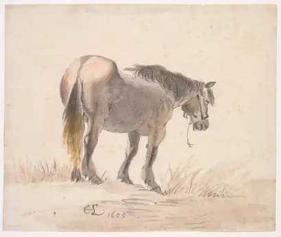 Dokumentasi museum Horse Standing on a Mound. Cornelis Saftleven (Dutch, 1607–1681).