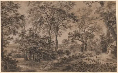 Dokumentasi museum Wooded Landscape. Anthonie Waterloo (Dutch, 1609/10–1690).
