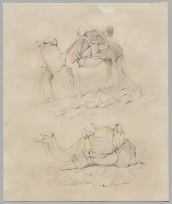 Dokumentasi museum Study of Camels. Nama pembuat belum tercantum pada daftar atribusi museum.